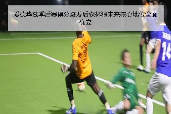 爱德华兹季后赛得分爆发后森林狼未来核心地位全面确立