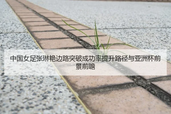 中国女足张琳艳边路突破成功率提升路径与亚洲杯前景前瞻